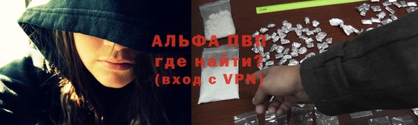 ГАЛЛЮЦИНОГЕННЫЕ ГРИБЫ Белоозёрский