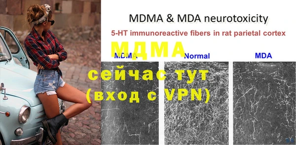 ГАЛЛЮЦИНОГЕННЫЕ ГРИБЫ Белоозёрский