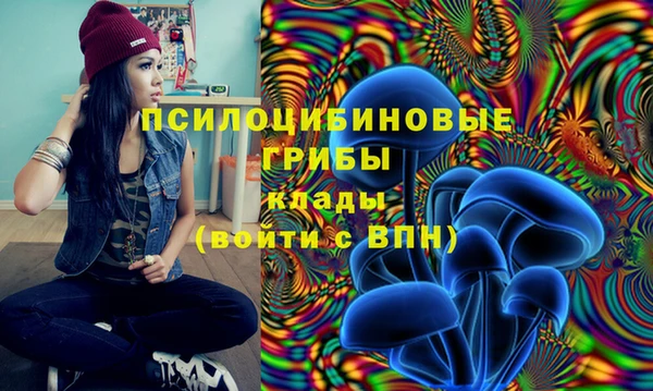 мдпв Беломорск