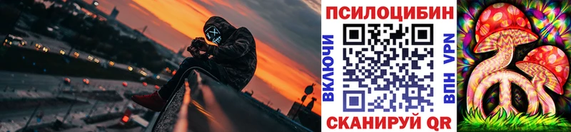 Купить где Старая Русса Галлюциногенные грибы Magic Shrooms